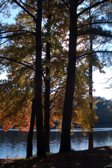 fall in high falls state park